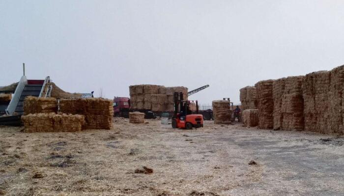 無(wú)油空壓機(jī)